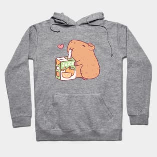 Cute Capybara Loves Orange Juice Hoodie